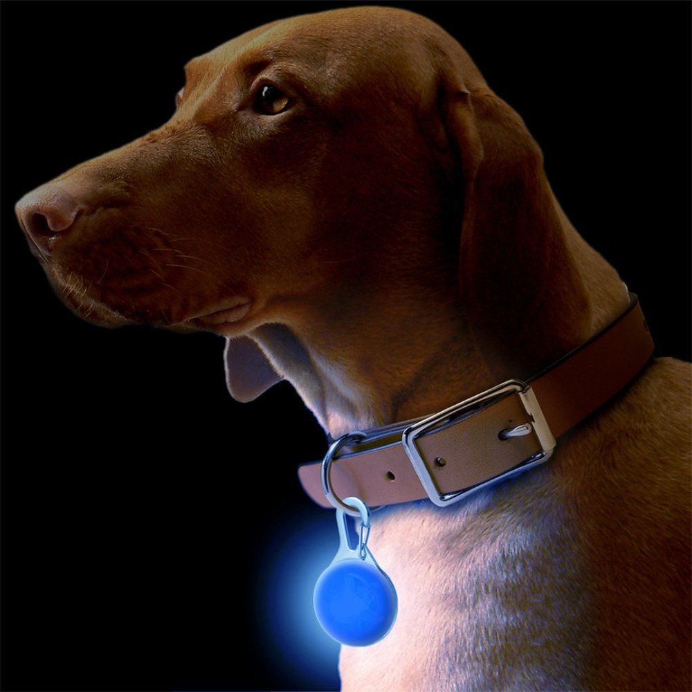 Light Up Dog Collar Flashing LED Safety